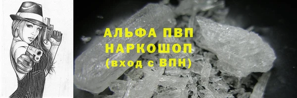 стафф Алзамай