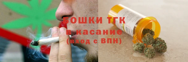 гашик Алексеевка